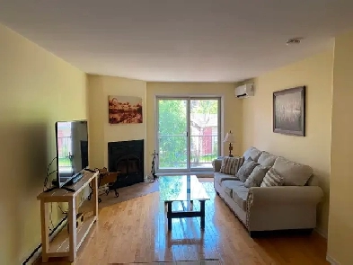 Grand 4 et demi - Longueuil - Équipé Image# 1