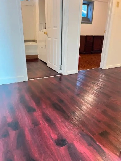 All Utilities Included-Walk-up Basement Suite-Everything Nearby Image# 1