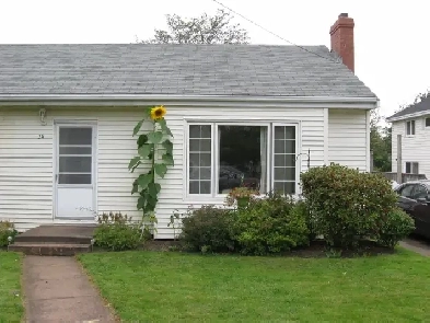 Room near downtown and Mall Image# 1