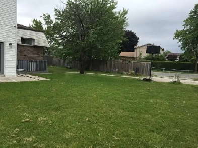 Upper Top floor Spacious Bedroom with a  big closet in Malton Image# 1