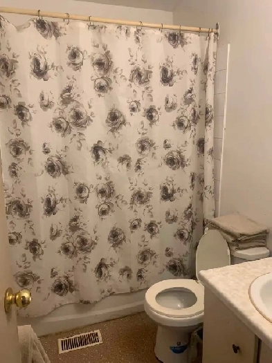 room for rent near cambrian Image# 3