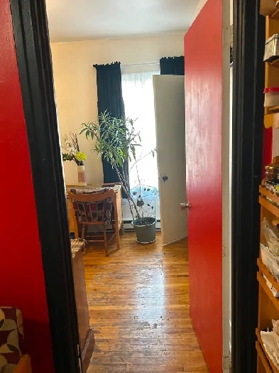 chambre dans 5 1/2 avec 2 cool personnes Image# 1