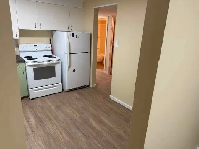 Bright 2 Bedroom Basement Suite–Utilities Included,Pet Friendly Image# 1