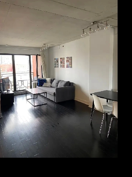 WOW! Magnifique 1 cac TOUT MEUBLÉ et balcon! Image# 1