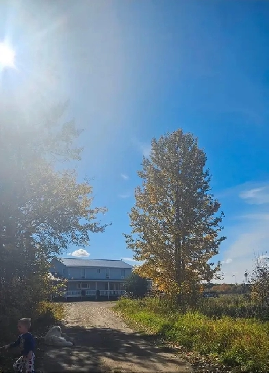 3 Bedroom Apartment for Rent – Peaceful Country Living on 80 Image# 1