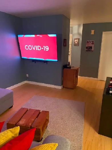 4 1/2 à louer (DÉCEMBRE) @ Vanier Image# 1