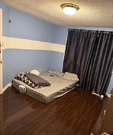 room rent for girls Image# 3