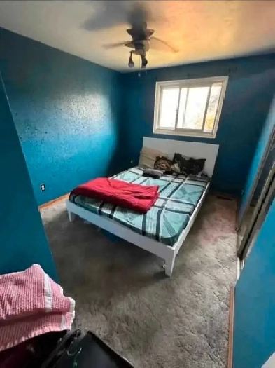 Room For Rent Image# 1