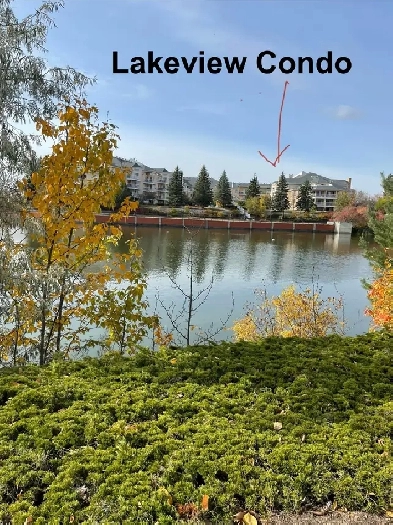 Lakeview 2 bedroom condo for rent Image# 1