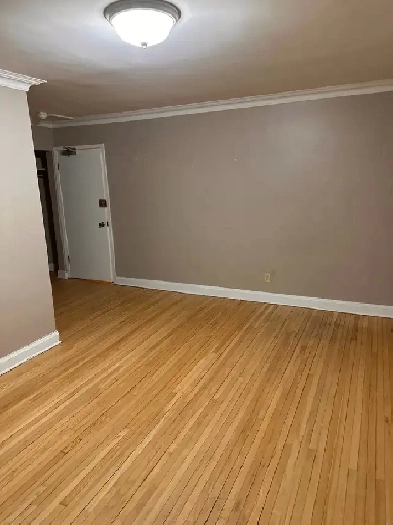 1BR Apartment for Rent in St Boniface Available Nov 1 Image# 1