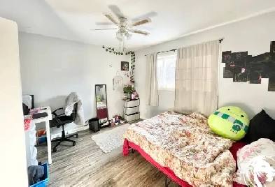 2 Rooms available for rent - In November! Image# 1