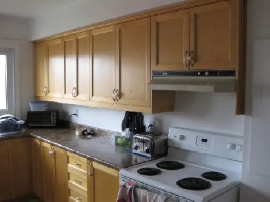 2 Bedroom Apartment, old Longueuil near everything Image# 1