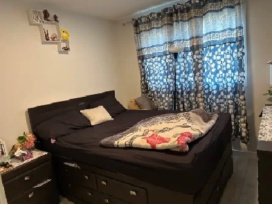 Room Available in Cornerstone with double bed and dresser Image# 1