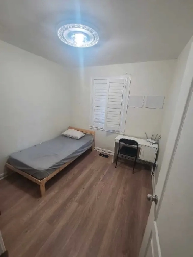 private room for rent in scarborough near STC Image# 1