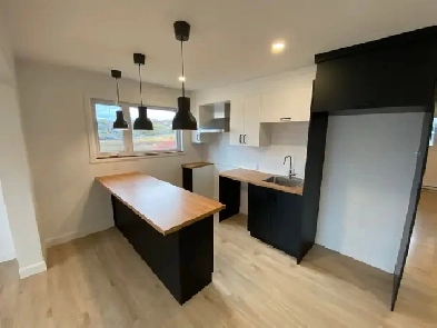 cessation de bail 4 1/2 rénové à Limoilou Image# 1