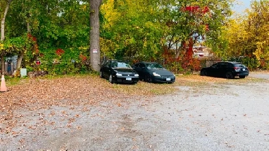 NEWMARKET _ Private Lots Parking/Storage $49.95/months Image# 3