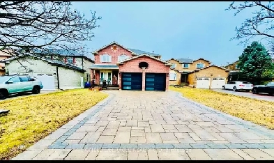 Three-bedroom basement apartment with two car parking. Image# 1