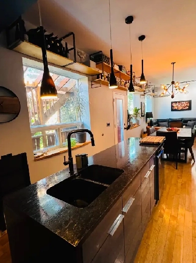 À louer – Condo moderne-industriel 4 1/2 (2 chambres) Image# 1