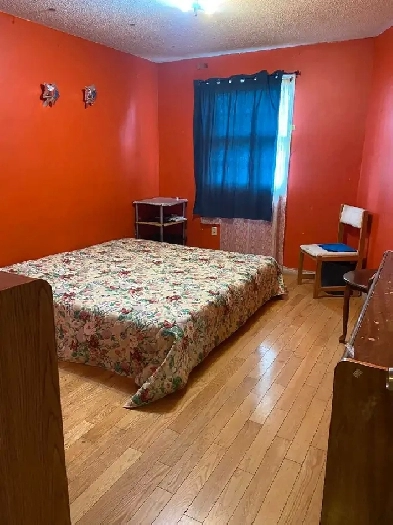 Room for a single Girl Brampton Image# 1