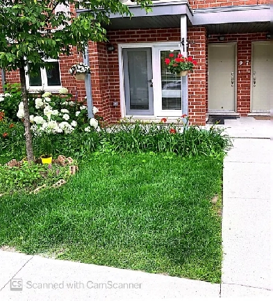 3 Bedroom    1.5 Bath for Rent (Scarborough) Image# 1