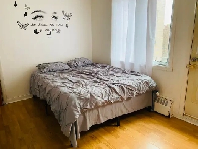 Short-term rent Nov : 1 1/2 apartment near Prefontaine metro. Image# 1