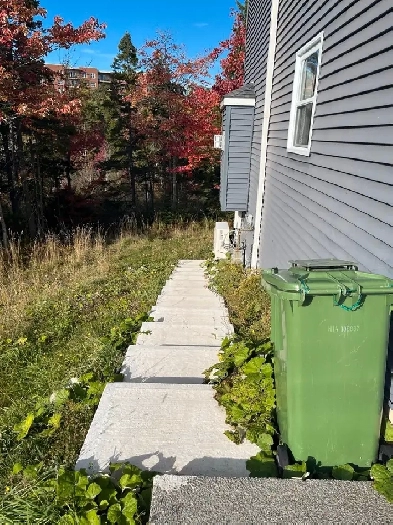 Bright & Modern 1-Bedroom Basement Apartment | Bedford Image# 1