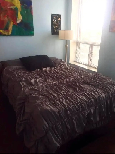 1 Bed 1 Bathroom for Rent Image# 1