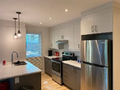 Condo moderne à louer - Animaux acceptés Image# 1