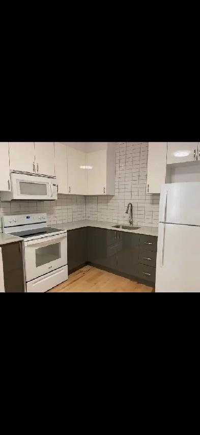 3 1/2 Rez de chaussé St-Henri Image# 1