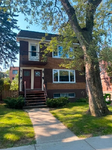 UPPER DUPLEX - MONKLAND VILLAGE 5 1/2 FOR RENT DECEMBER 1 Image# 1