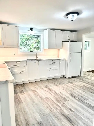 Newly Renovated 2 Bedroom House in Steinbach! Image# 1