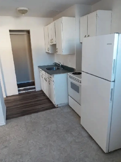 large bright one bedroom appartment Image# 4