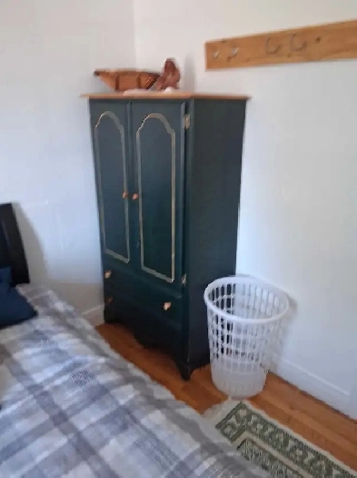 CHAMBRE À LOUER A BROWNSBURG CHATHAM Image# 7