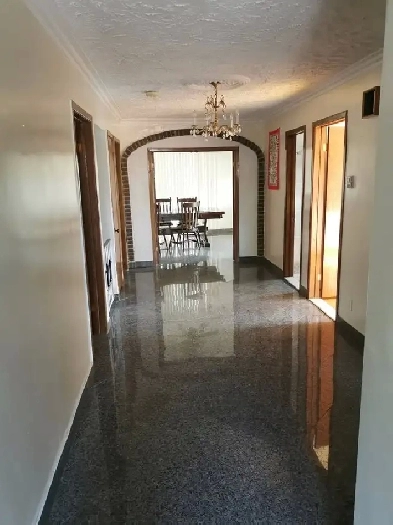 1 chambre à louer à Longueuil Image# 9