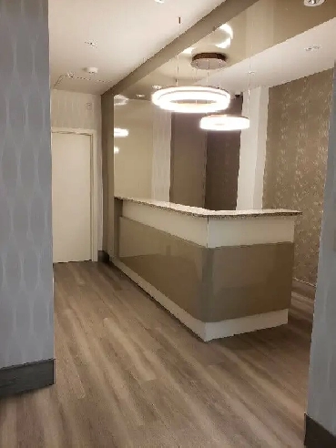 SUPERBE GRAND LOCAL MODERNE À LOUER Image# 4