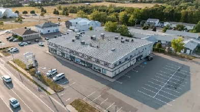 Office and Warehouse Space for Lease- 1A 155 Belvedere Avenue Image# 4