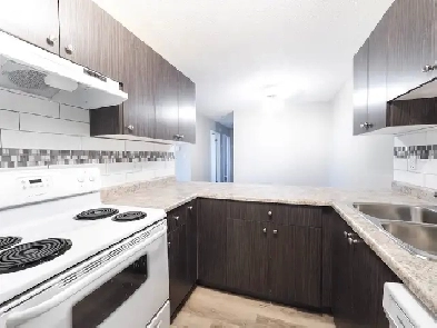 Don't Pay Full Rent until Jan - Spacious Renovated 2 Bedroom Apt Image# 1