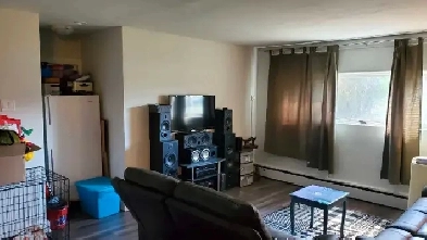 1 Bedroom available NOW in Carlington Image# 1