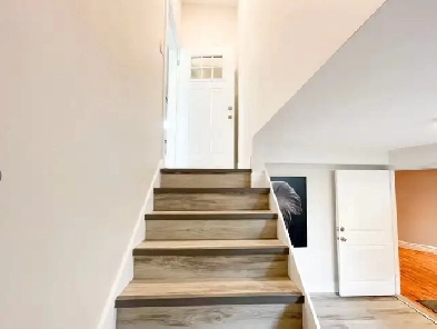 2 Bedroom Basement Apartment Well Maintained- $1500 Image# 3