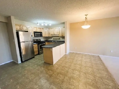 Affordable Extra Large 1-Bed Condo, Top Floor Quiet 18  Building Image# 1
