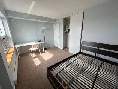 Large Bedroom 5 mins from Carleton Available for Rent for Female Image# 1