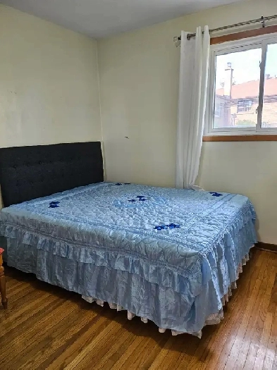 Fully Furnished Room For rent at Finch/Islington (FEMALE ONLY) Image# 1