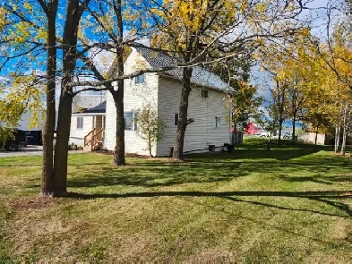 SHARED DWELLING- BASEMENT BACHELOR APARTMENT FOR RENT WOODSTOCK Image# 1
