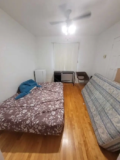 Chambre à louer Image# 1