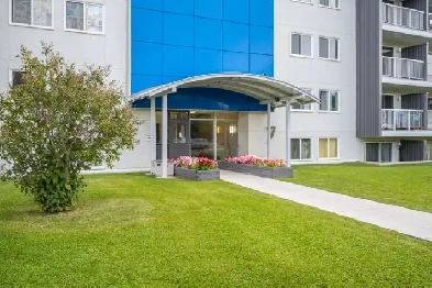 Upgraded Downtown 1 bedroom Apartment for Rent Image# 8