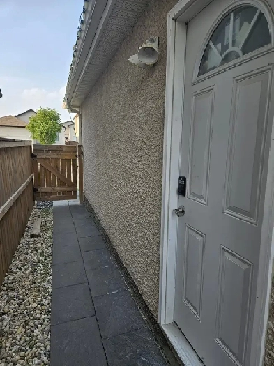 1 Basement room for rent Image# 1