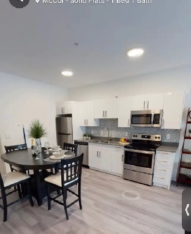 1 BEDROOM FLAT FOR SUBLEASE IN DOWNTOWN WINNIPEG Image# 1