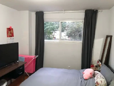 North York Spacious Bedroom Available Nov 17 - Female Only Image# 1