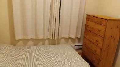 Bright furnished 1 bedroom apartment downtown available Nov 1 Image# 1