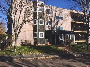 2 BR Apt on Willow St, Truro, NS Image# 5